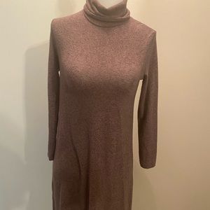 American Eagle Turtleneck Dress